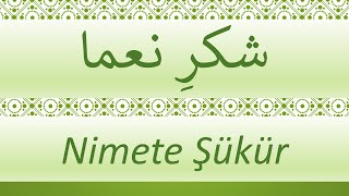 Nimete Şükür   /    شکرِ نَعما