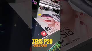 Impresora Cama Plana Zeus P20