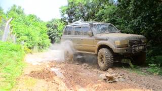 TOYOTA LAND CRUISER VX 80 ISTANBUL  BELGRAD FOREST