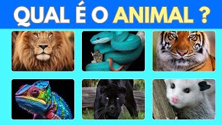 ADIVINHE QUAL É O ANIMAL PELA FOTO ? 🐍🦬🐘 #quiz #animais