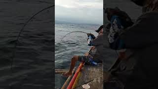 Shimano Saragosa 6000 SW jigging Spot SBM Cilacap