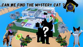 CAN WE FIND THE MYSTERY CAT?! kitten game