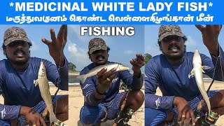 🔴Lady fish catching back to back🔥💯| தூண்டிலில் மாட்டிய மருத்துவகுணம் வாய்ந்த வெள்ளைகிழங்கான் மீன்👌🔥