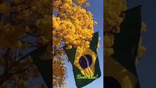 7 de setembro 2020 Brasília