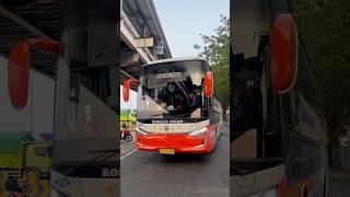 Rosalia indah sasis Hino RM 280 body legacy sr3 #rosalia #hino #legacy