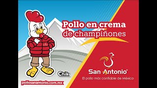 Pollos San Antonio;  Cocina Hoy una Receta  Pollo en crema de champiñones