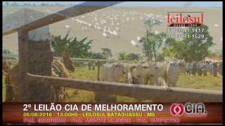 2º Leilão Cia de Melhoramento em Bataguassu - MS | Fazenda Segredo