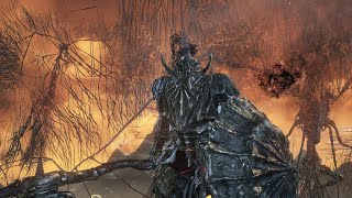 Dark Souls 3 Boss Fight: Dragonslayer Armour