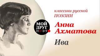 Анна Ахматова - Ива |  Классика русской поэзии