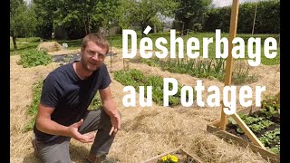 Désherbage au potager