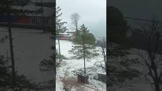 Murree received first snow fall of year 2024#Murree #murreeweather #murreetrip #snowfall