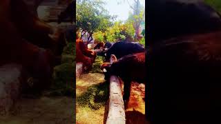 Village Style #viral#trending#youtubeshorts