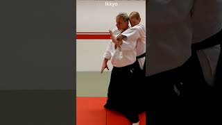 Aikido in slow motion: On neck and wrist hold from behind, KATATEDORI KUBISHIME, by Stefan Stenudd