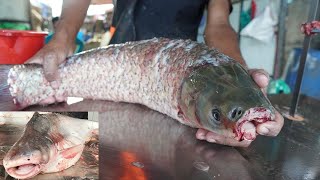 How To Cleaning & Chopping Big Rohu Fish In Fish Market | Fish Cutting Skills | Cutting Skills