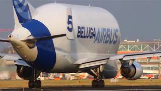 Airbus Beluga A300-600ST F-GSTF takeoff at Bremen Airport 17.02.2018