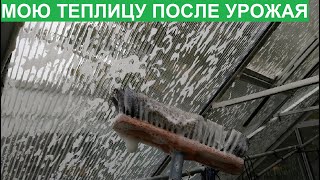 ЧЕМ? И КАК? ОБРАБАТЫВАЮ ТЕПЛИЦУ ПОСЛЕ УРОЖАЯ