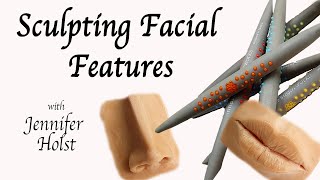 Sculpting Facial Anatomy with Regular Soft Sugar Shapers