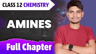 Amines in one shot | Organic Chemistry class 12 NCERT | JEE Mains | NEET | Board 2025