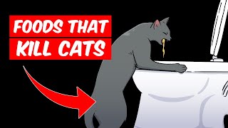 10 Dangerous Foods that your CAT should never eat