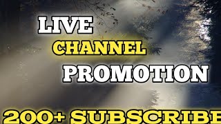 LIVE CHANNELS PROMOTION 200+SUBSCRIBERS | CHANNEL CHECKING 💹