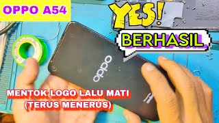 Cara Atasi Oppo A54 Logo Lalu Mati (Berulang-ulang)