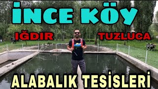 Iğdır-Tuzluca - İnce Köy, Alabalık Tesisleri