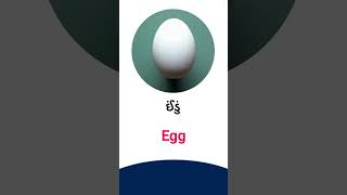 Egg meaning in Gujarati - English Dictionary