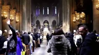 Magnificent Notre-Dame De Paris, France || StayAway