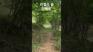 산림정원 라엘의 숲길에서 힐링하기