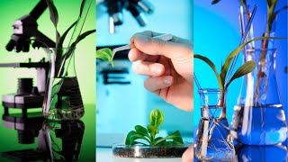 🔬🍃 Biotecnología AMBIENTAL - 🦠 Remediación de suelos, agua y soluciones ambientales 🏔🌎