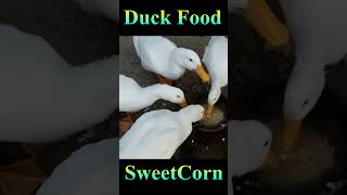 Duck Food Sweetcorn #Viral #Shorts