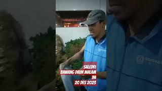 seledri bw daun #pasarinduk caringin