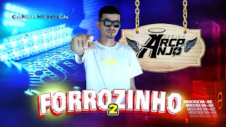 SET FORROZINHO 2 DJ ARCANJO MAIO 2023 ( AS MAIS TOCADAS)