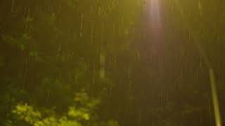 Rain under Street Light at Night - Free Footage - 4K