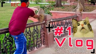 Come Join Me on My First Vlog! #1vlog | Kota Rajasthan Revealed!