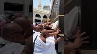 2k24 #hajj2024 #madina #madinah #pakistan #saudiarabia #shortvideo #shorts makkah live madina naat