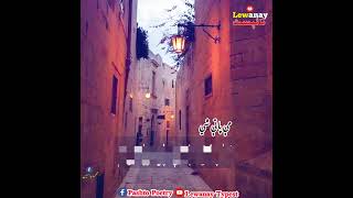 Za Ba Tre Na lar Shm Ho Yadona Ba Me Pate She |زۀ به ترينه لاړشم خو يادونه به مې پاتي  | 2024 poetry