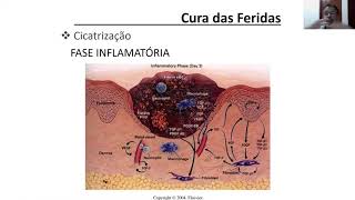 Cura das Feridas, parte I