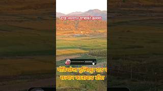 Gothikhola Tulsipur Dang||Beautiful Tulsipur#shorts#youtubeshorts#dang