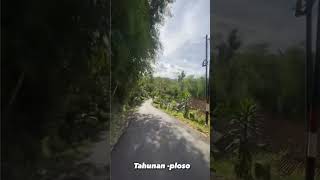 Jalan Desa Tahunan - Ploso , Kecamatan Tegalombo Kabupaten Pacitan. #pacitan #tegalombo #indonesia