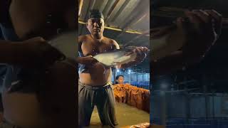 1 ton penambahan ikan patin #viral #video #subscribe #shorts #short #shortvideo #trending