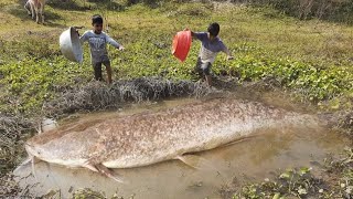 Best 2022  big fish catching best fisherman catching.Unique best fisherman fishing