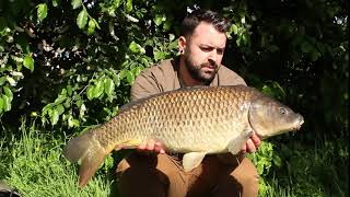 Carp And Discover