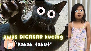 di CAKAR Kucing, kok bisa? Jalan-jalan sore bareng kakak adek~ #Vlogjenka