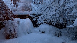 Snow in Gardnerville Dec 31 2022