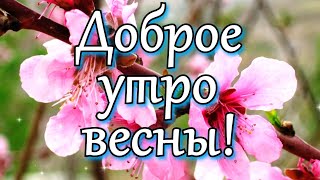 С Добрым Утром Весны! Доброе Утро Марта! С Добрым Весенним Утром!