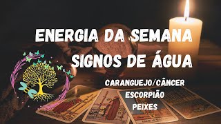 Semana Signos de Água 💧♋♏♓💧 - Caranguejo / Câncer / Escorpião / Peixes