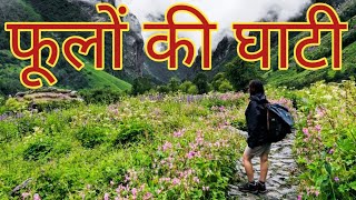 फूलों की घाटी |Valley of Flowers Trek | Heaven on Earth | Uttarakhand | Valley of Flowers Tour Guide