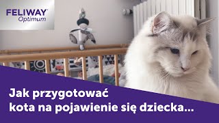 Jak przygotować kota na pojawienie się dziecka? | FELIWAY Optimum