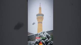 Snowfall in Haram e imam Reza a.s #imamreza #mashad  #shiashorts #youtubeshorts #viralshorts